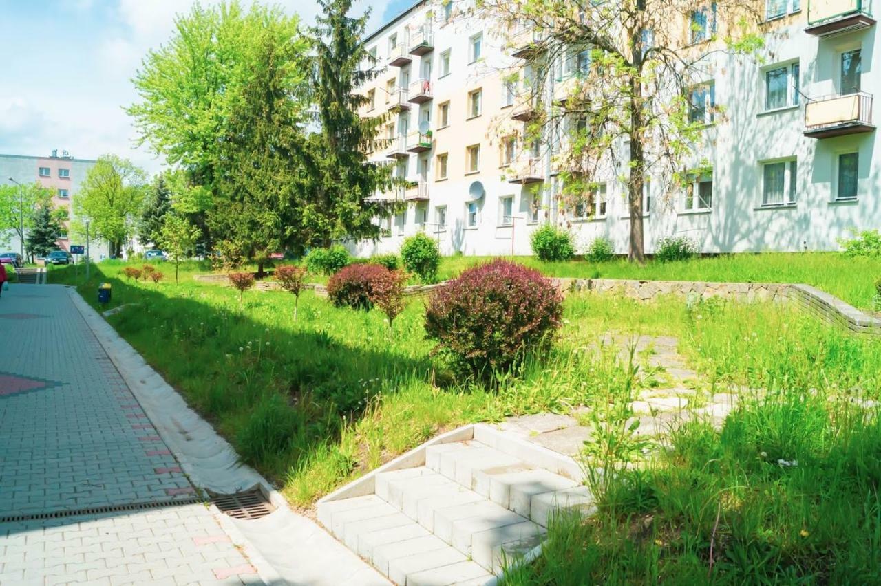 Alma Apartments Starachowice Eksteriør billede